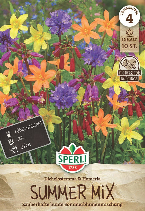 SPERLI Begonie  Summer Mix