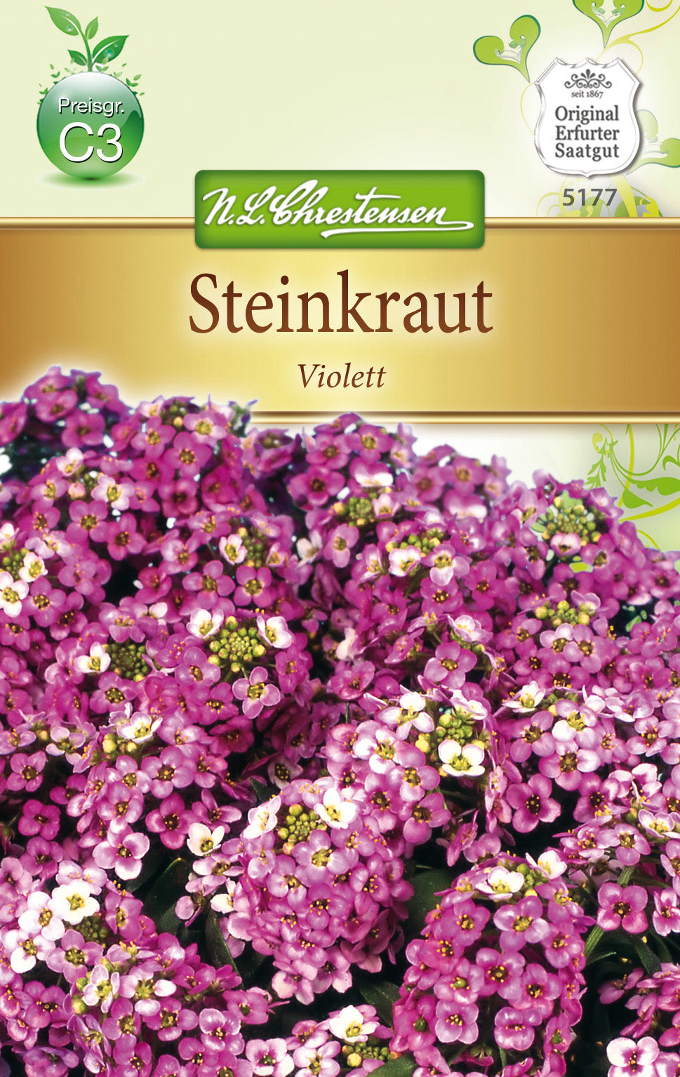 N.L. Chrestensen Lobularia Steinkraut Alyssum, violett