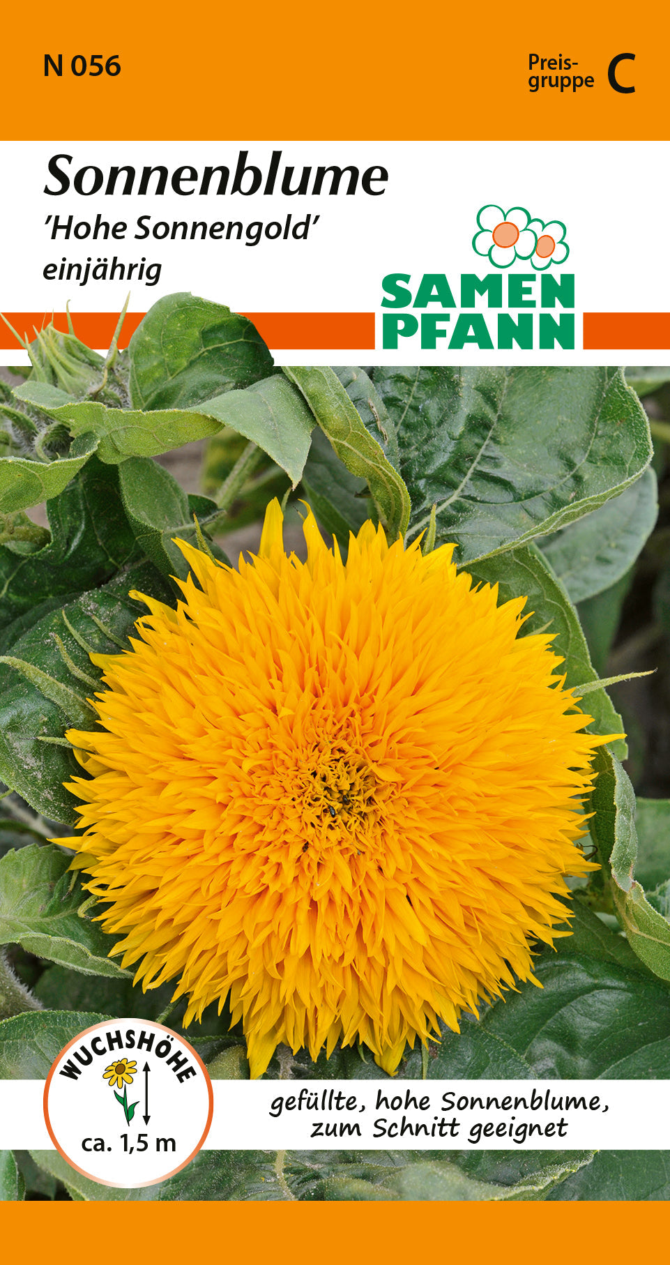 Samen Pfann Hohe Sonnengold Sonnenblumen