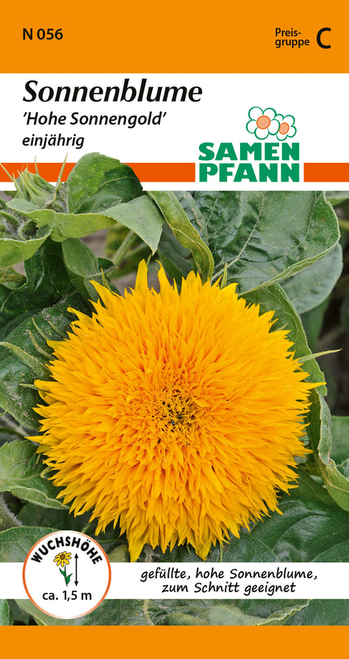 Samen Pfann Hohe Sonnengold Sonnenblumen