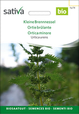 Sativa Urtica urens Kleine Brennnessel