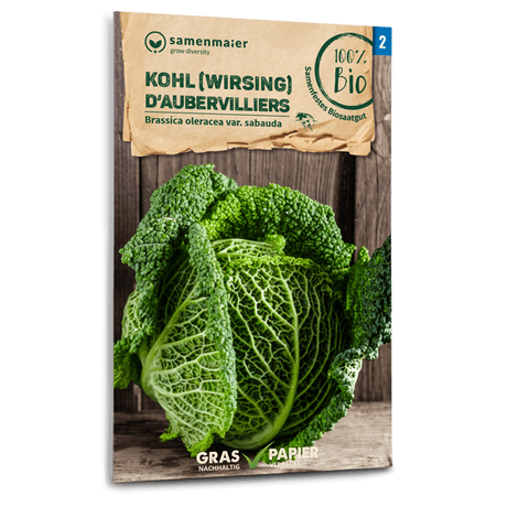 Samen Maier BIO Wirsing D'Aubervilliers