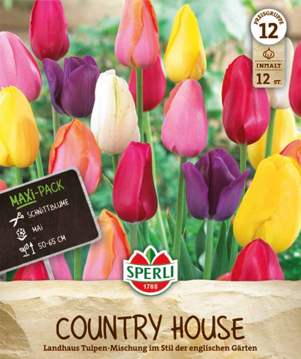 Maxi Tulpen Landhaus Mix
