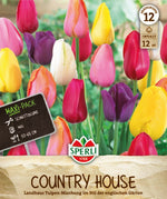 Maxi Tulpen Landhaus Mix
