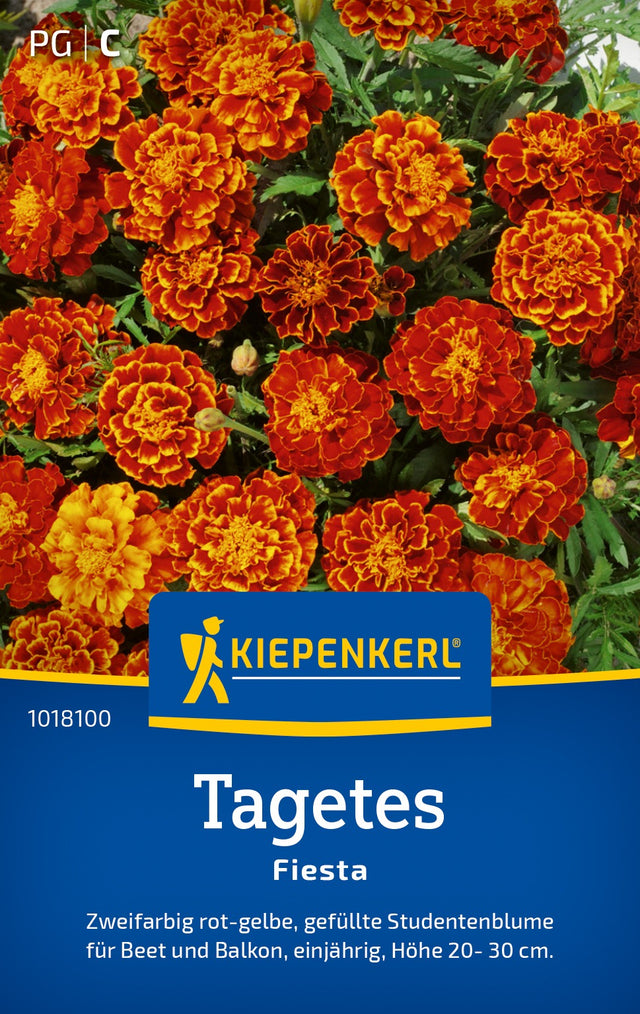 Kiepenkerl Studentenblumen Fiesta