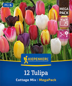Mega-Pack Einfache späte Tulpen Cottage Mix