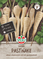 SPERLI Pastinake Gladiator