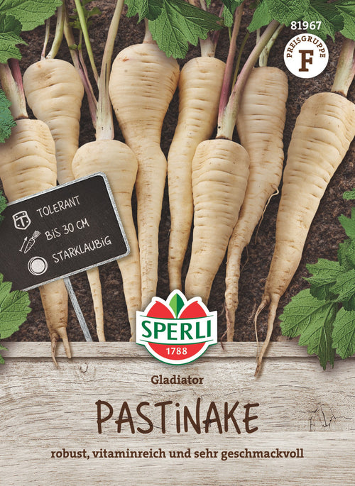SPERLI Pastinake Gladiator