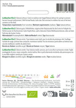 Sativa Bataviasalat grün Laibacher Eis 2