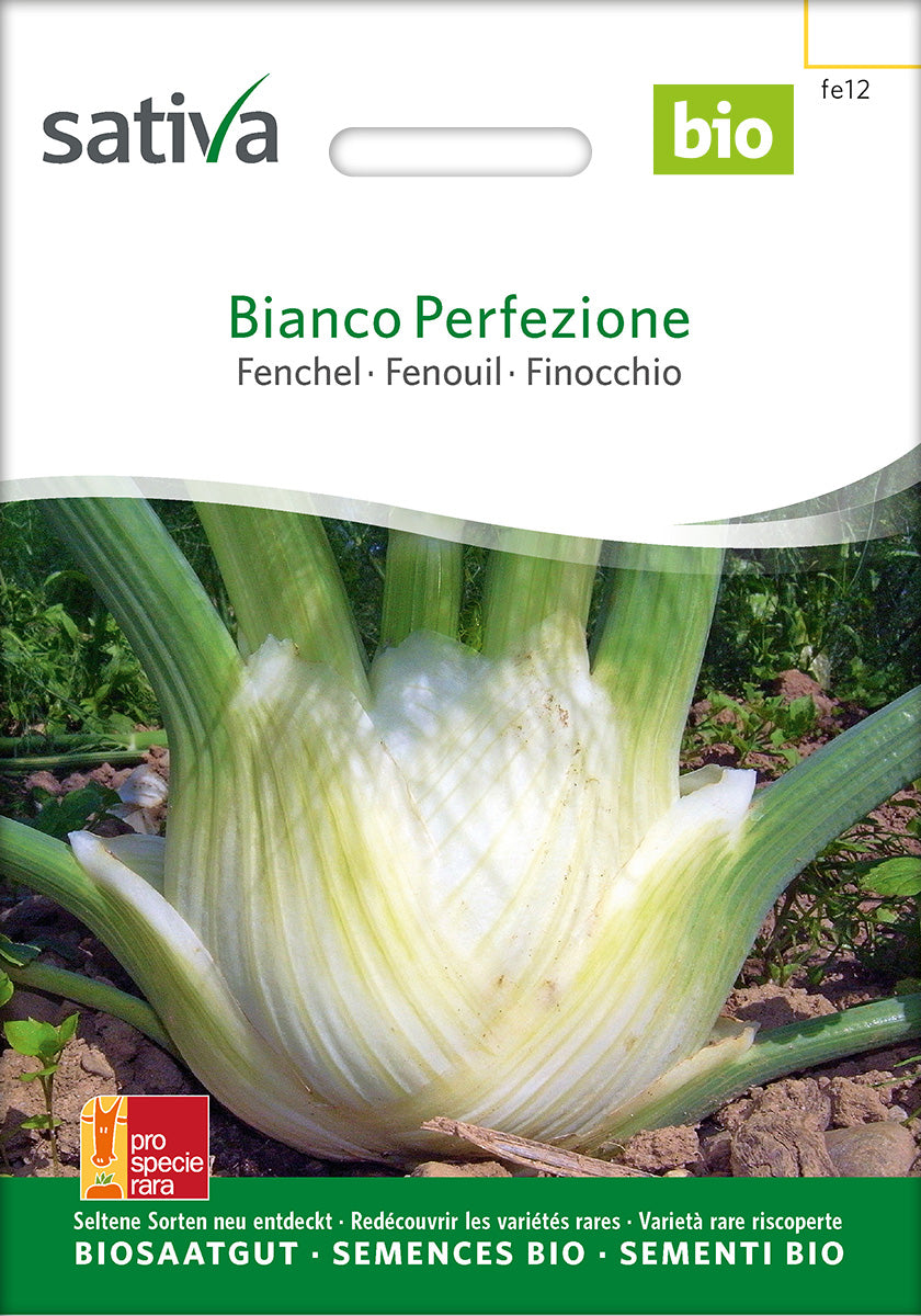 Sativa Fenchel Bianco Perfezione