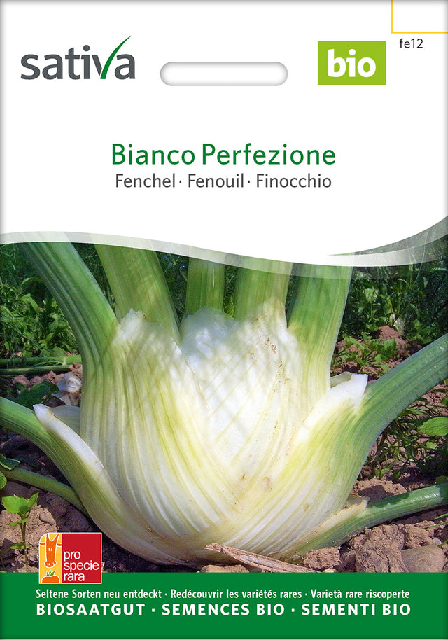Sativa Fenchel Bianco Perfezione