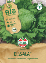 SPERLI BIO Eisbergsalat Saladin