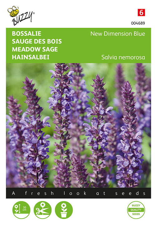 Buzzy Seeds Hainsalbei New Dimension Blue