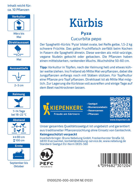 Kiepenkerl Kürbis Pyza