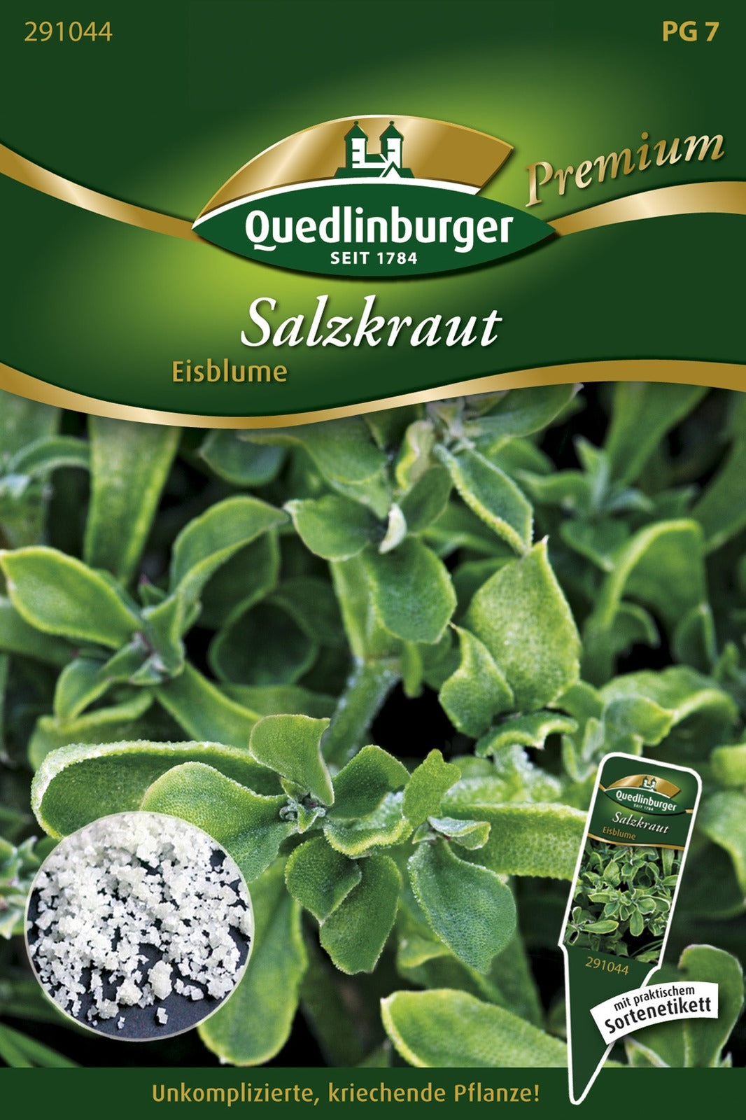 Quedlinburger Salzkraut  Eisblume