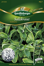 Quedlinburger Salzkraut  Eisblume