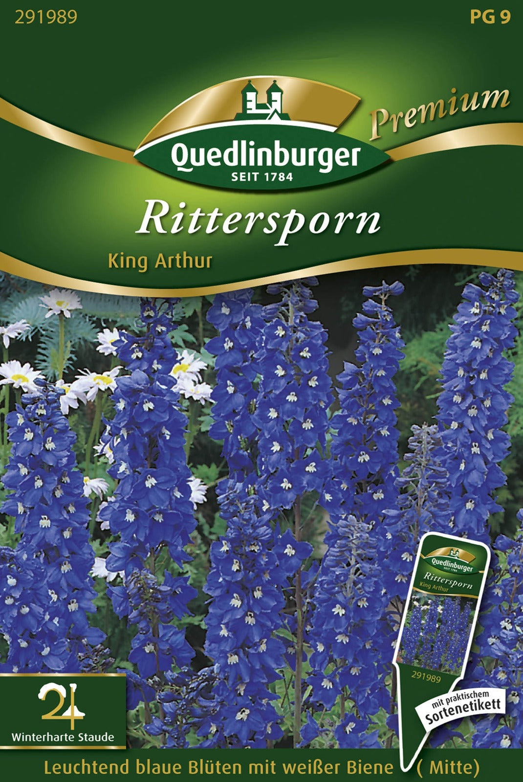 Quedlinburger Rittersporn  King Arthur