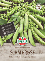 SPERLI Schalerbse Kleine Rheinländerin