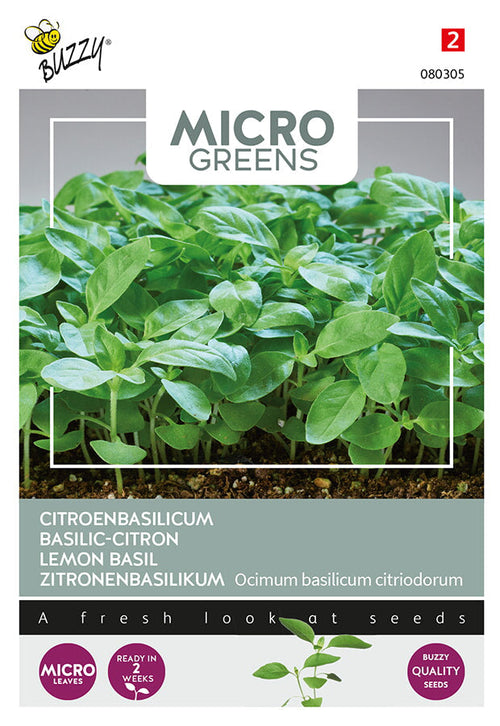 Buzzy Seeds Microgreens Zitronenbasilikum