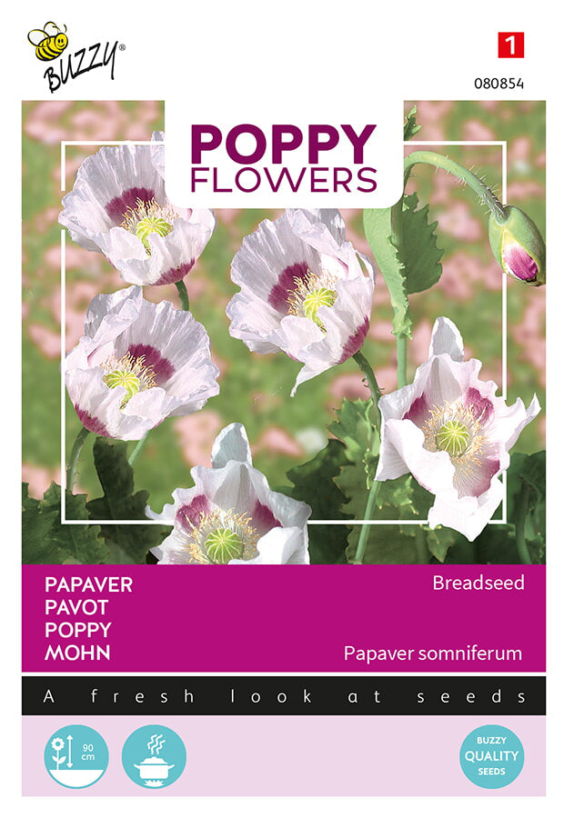 Buzzy Seeds Mohn  Blaumohn