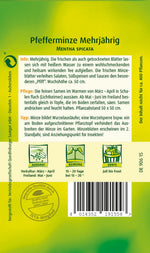 Quedlinburger Pfefferminze mehrjährig