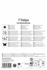 Wildtulpe Tulipa turkestanica
