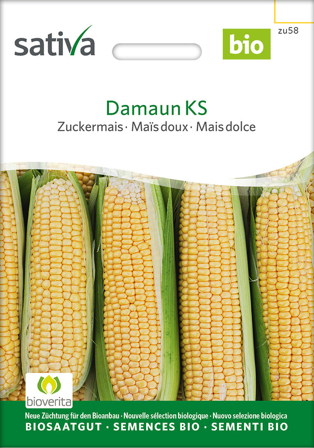Sativa Zuckermais Damaun KS