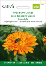 Sativa Ringelblume Orange