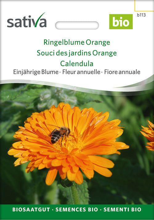 Sativa Ringelblume Orange