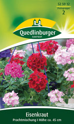 Quedlinburger Eisenkraut Prachtmischung