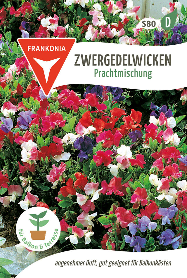 Frankonia Samen Wicken Prachtmischung Zwergedel