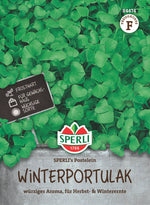 SPERLI Winterportulak SPERLI's Postelein