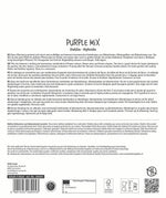 SPERLI Dahlie Purple Mix
