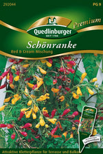 Quedlinburger Schönranke  Red & Cream Mischung