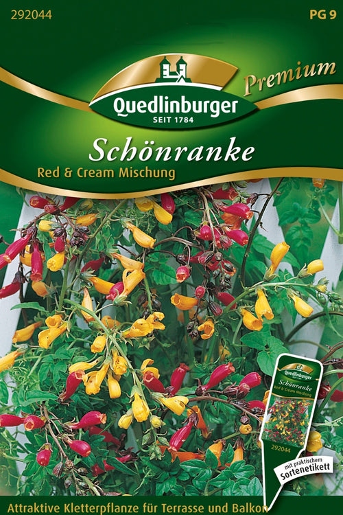 Quedlinburger Schönranke  Red & Cream Mischung