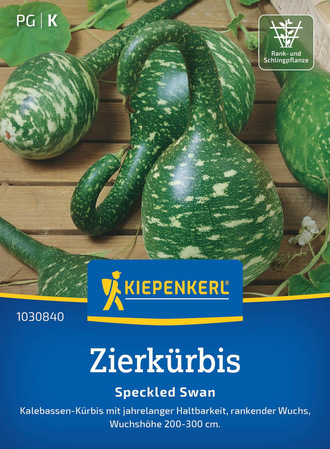 Kiepenkerl Kürbis Speckled Swan