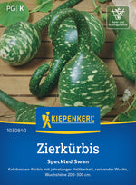 Kiepenkerl Kürbis Speckled Swan