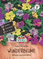 SPERLI Wunderblume Broken Colours Mix