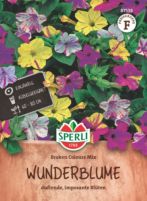 SPERLI Wunderblume Broken Colours Mix
