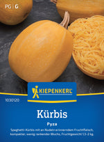 Kiepenkerl Kürbis Pyza