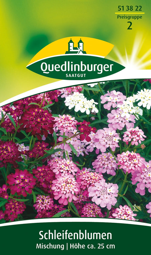 Quedlinburger Schleifenblume Mischung