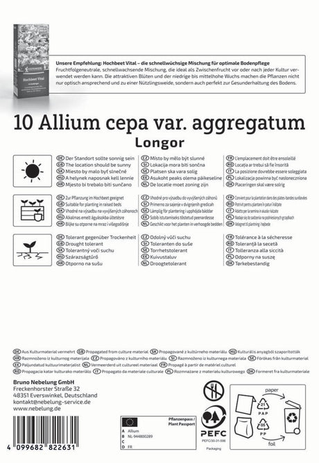 Kiepenkerl Schalotte Longor 10 Stück