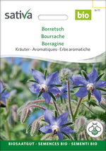 Sativa Borretsch