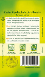 Quedlinburger Radieschen Rundes halbrot-halbweiss
