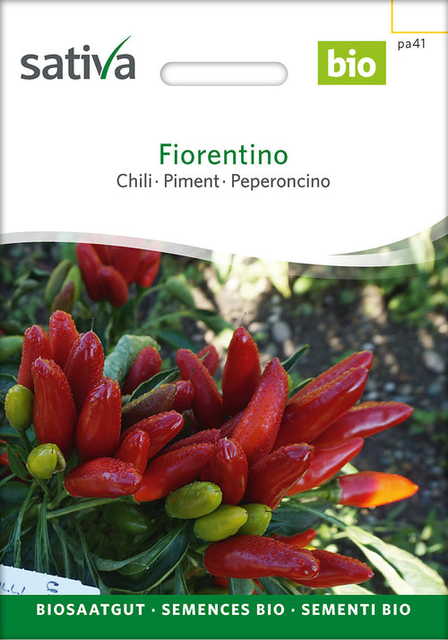 Sativa Chili Fiorentino