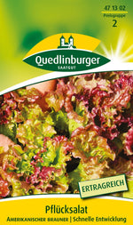 Quedlinburger Pflück-& Schnittsalat Amerikanischer brauner