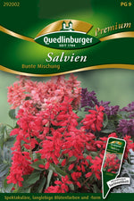Quedlinburger Salvie Bunte Mischung