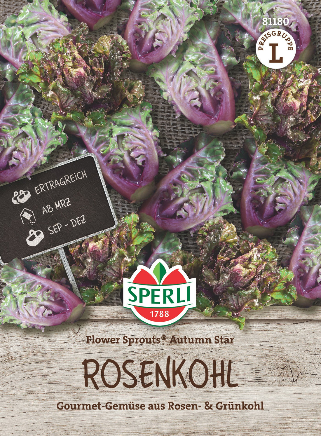 SPERLI Kohl Flower Sprouts® Autumn Star
