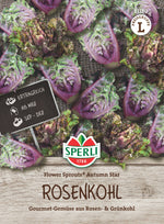 SPERLI Kohl Flower Sprouts® Autumn Star