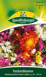 Quedlinburger Trockenblumen für Floristik Mischung vieler Sorten